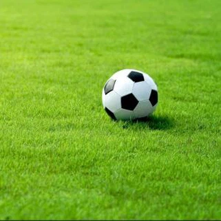 Keinotekoinen ruoho jalkapallon piki