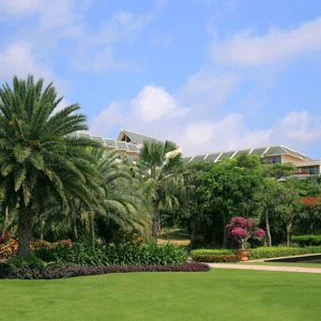 Eco Friendly 4-sävyinen Pehmeä Feeling jalo puutarha synteettinen Grass turf 35 mm talon