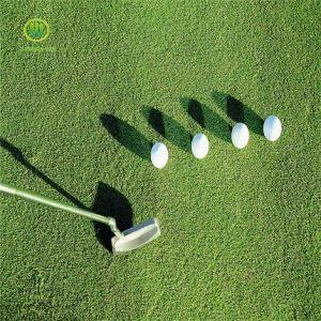 Hyvä suorituskyky Golf Urheilu Pelaa Synteettinen Putting Green Turf Tekokuvioitu