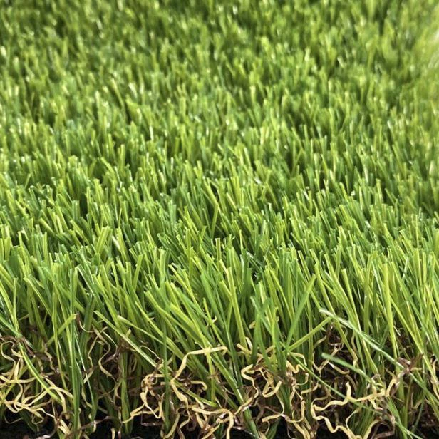 Outside Turf Grass